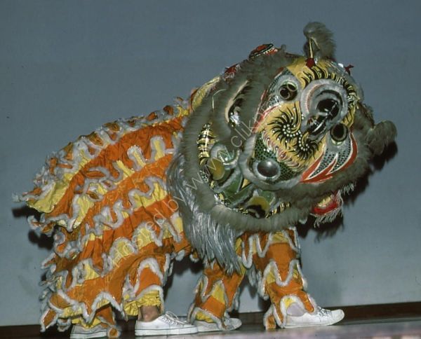 Traditional Chinese Lion Dance, Singapore